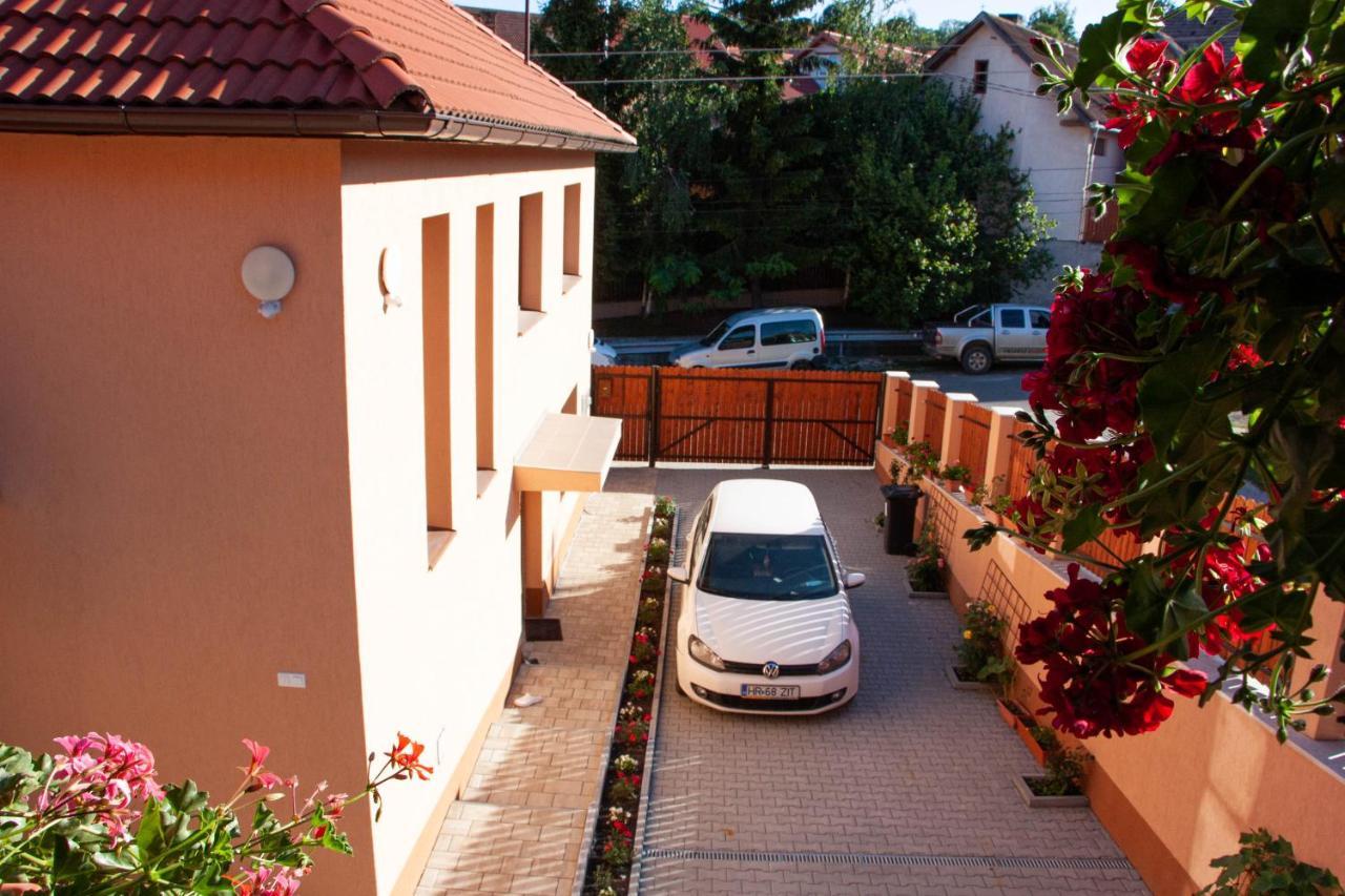 Nyiko Vendeghaz Hotel Lupeni  Exterior photo